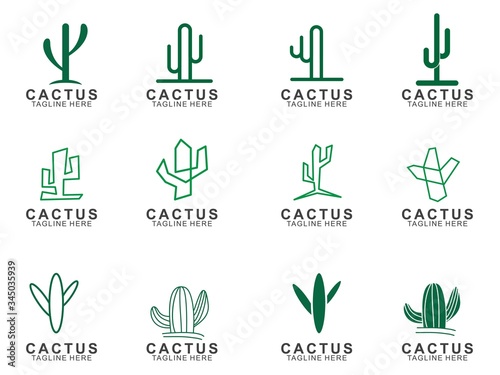 Set of Cactus logo with creative concept. Icon cactus vector illustration