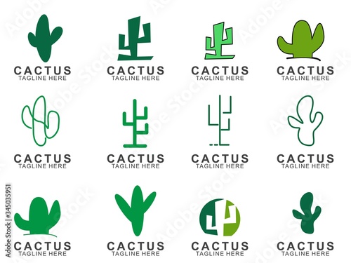 Set of Cactus logo with creative concept. Icon cactus vector illustration
