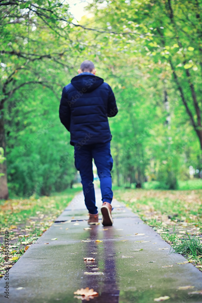 Fototapeta premium Bright spring greens at dawn in the forest. Nature comes to life in early spring.