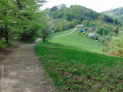 Fototapeta Naklejka Na Ścianę i Meble -  Beskid Śląski, Wisła, Beskidy, Polska, Góry