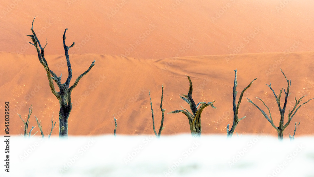 Landscape view of Dead Camelthorn Trees against red dunes in Deadvlei, Sossusvlei. Namib-Naukluft National Park, Namibia, Africa Landscape view of Dead Camelthorn Trees against red dunes in Deadvlei, Sossusvlei. Namib-Naukluft National Park, Namibia, Africa