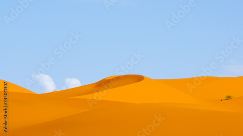 adventure  africa  background  beautiful  blue  chebbi  clear  color  day  desert  dry  dune  dunes  dust  egypt  erg  erg chebbi  extreme  gobi  horizon  landscape  merzouga  morocco  nature