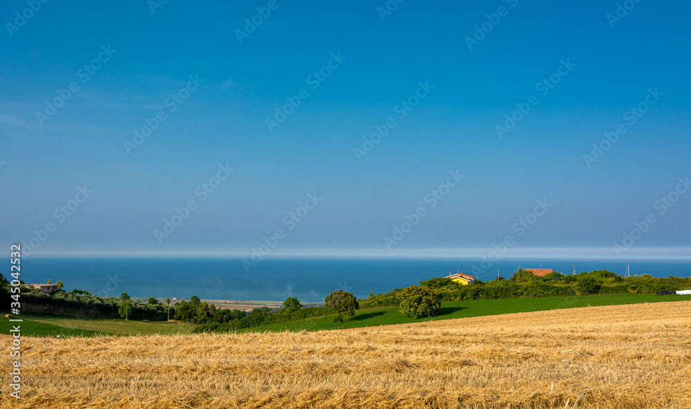 rural landscape in the Marche region in Italy near Fermo. Summer landscape rural landscape in the Marche region in Italy near Fermo. Summer landscape
