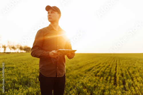 Young man farmer stands in a green wheat field with a tablet in his hands checking the progress of the harvest and looking sideway. Boy wearing green shirt and cap on the sunset. Agriculture concept.