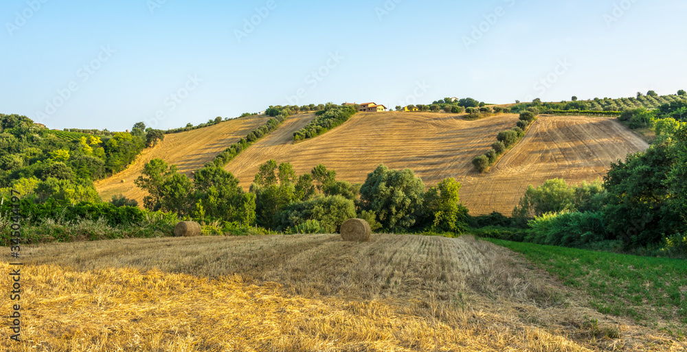 rural landscape in the Marche region in Italy near Fermo. Summer landscape