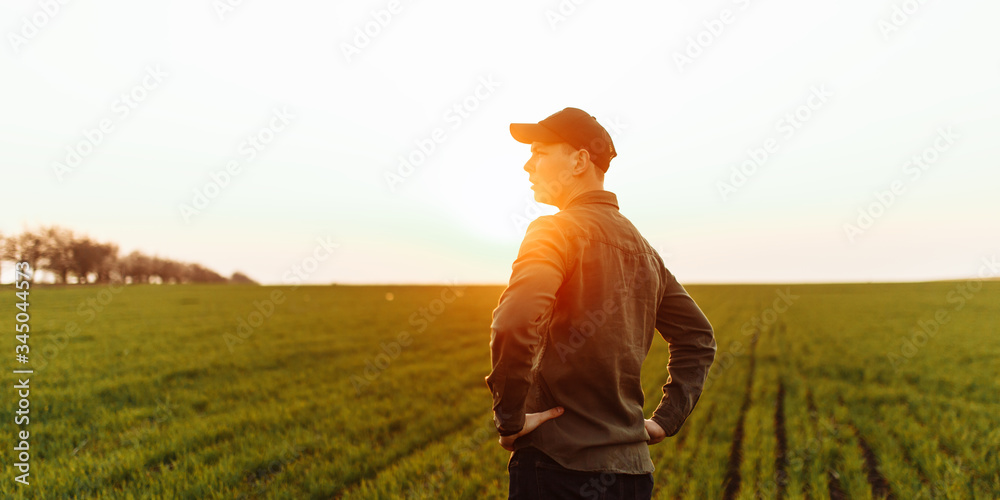 Φωτογραφία Young farmer stands in the green field checking and waiting for harvest to grow