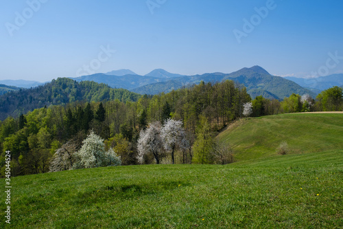 Sprng view over green grassland  and blooming trees towards Lubnik in Skofja Loka photo