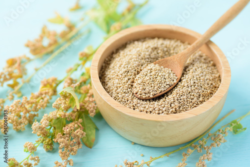 Organic brown quinoa seed with spoon in a wooden bowl and quinoa plant on pastel color background, healthy food
