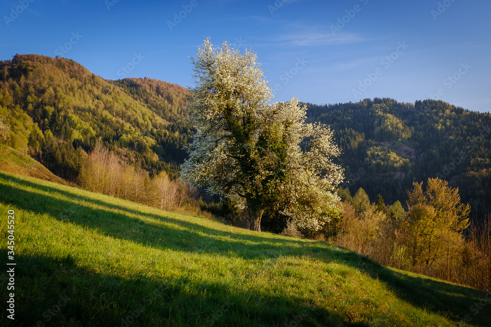 Beautiful landscape around St. Thomas church in Skofja Loka hills on spring evening