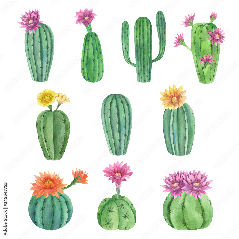 Watercolor hand painted exotic cactus set with flowers. Tropic flowering plants. Mexican style clip art perfect for wedding invitation and botanical print Watercolor hand painted exotic cactus set with flowers. Tropic flowering plants. Mexican style clip art perfect for wedding invitation and botanical print