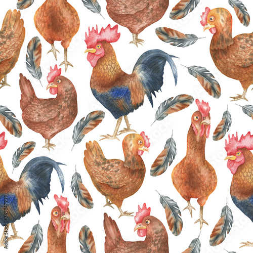 Hens and rooster pattern