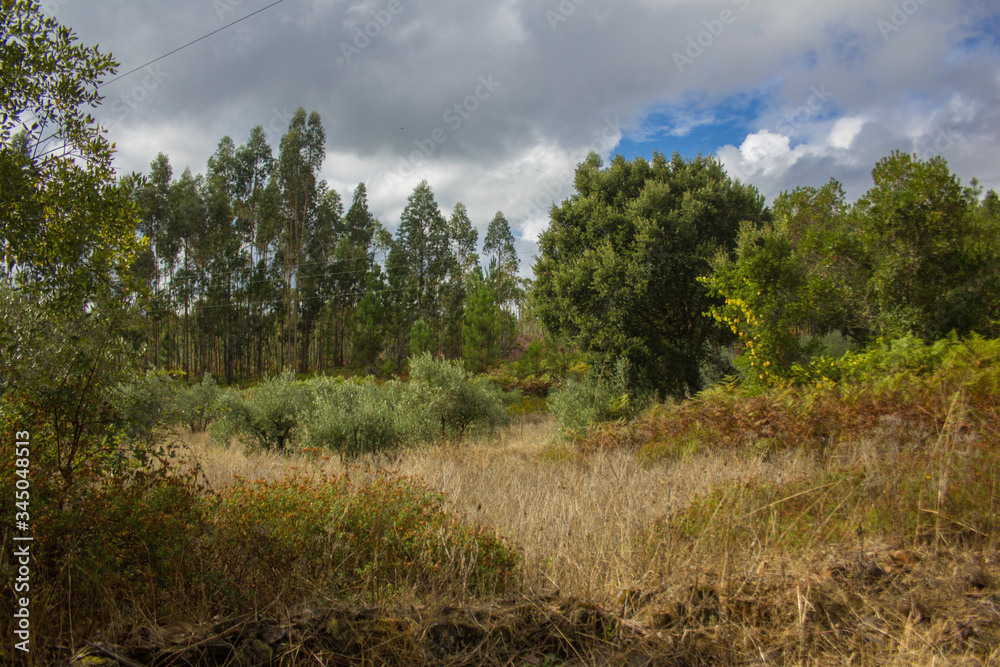 Obraz premium Portugal