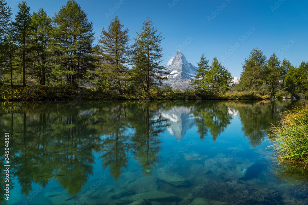 
A scenic view of autumn pine forest trees with reflections of the Matterhorn mountain peak in Grindjisee lake in Zermatt, Switzerland
