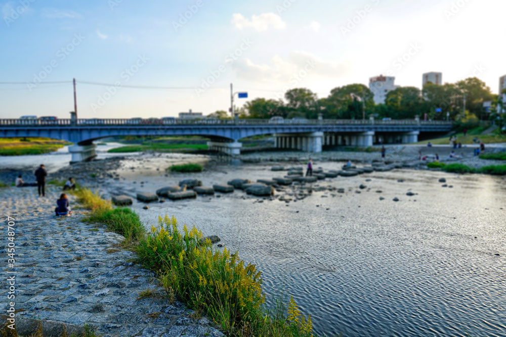Fototapeta premium 鴨川デルタ