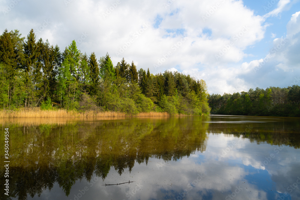 Fototapeta premium a wonderful shot of a pond in which many trees are reflected with a cloudy background