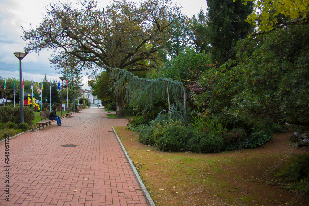 Obraz premium Jardim Pedrogão Grande
