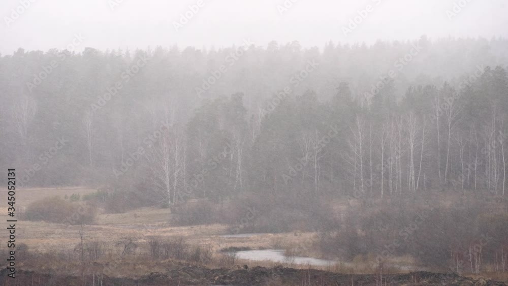 Aerial view of a snowy winter forest during a snowfall coniferous mountain forests. Aerial view of a snowy winter forest during a snowfall coniferous mountain forests.