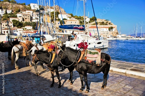 Mules waiting for tourists in the port of Hydra island, Greece, September 25 2015.