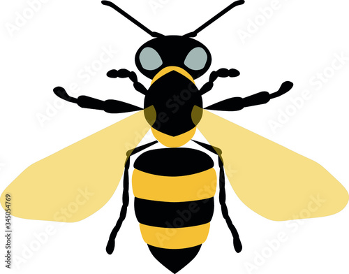 Vector flat isolated colored yellow bee insect icon