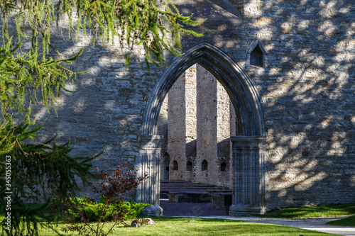 Ruins of the medieval Benedict convent in Pirita, near Tallinn, Estonia
