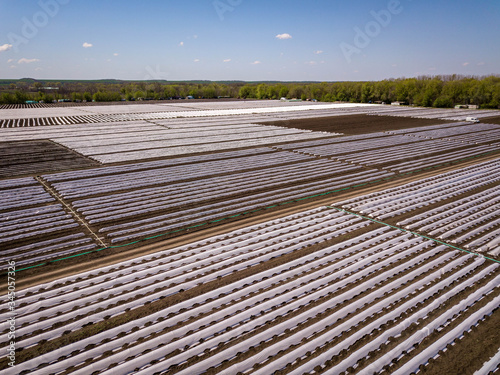 Drip Irrigation greenhouse Systems In An Agricultural Field Image. Aerial drone shot.