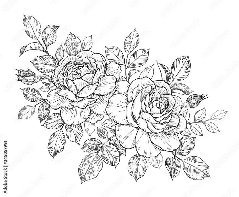 Hand Drawn Floral Bunch with Roses, Buds and Leaves