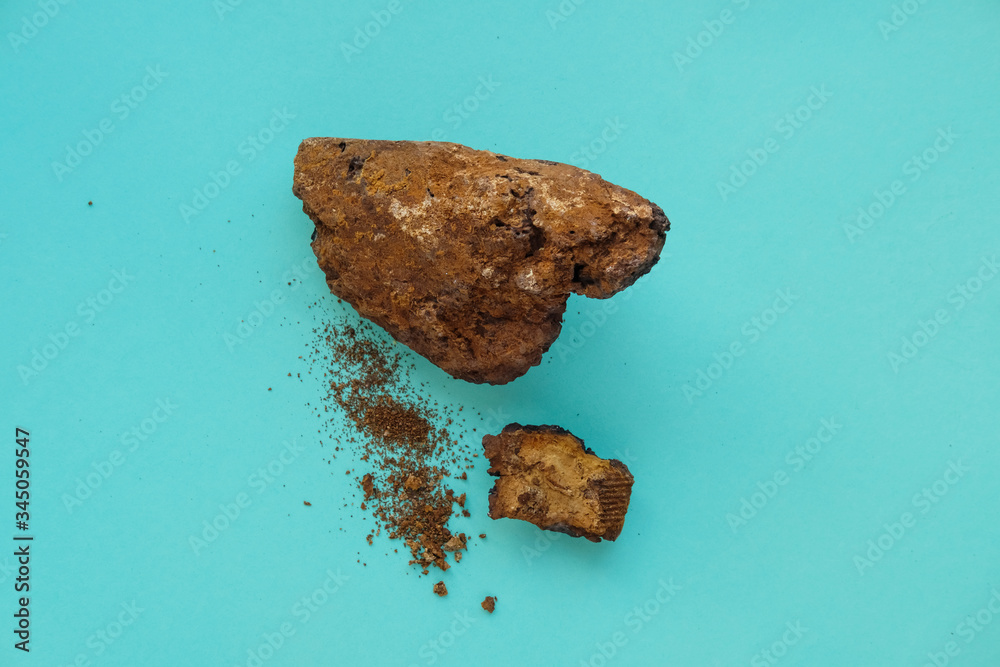 Naklejka premium Chaga Healing Mushroom Pieces on a blue background.
