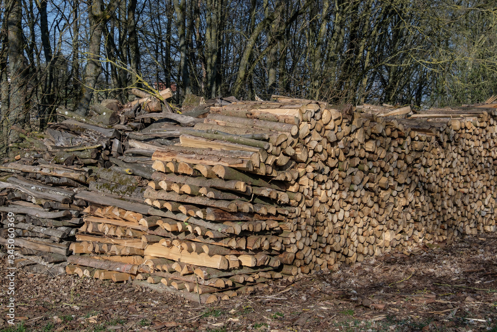 Ofenholz: Gestapeltes Brennholz bei einem Holz-Lager (Holzwirtschaft)