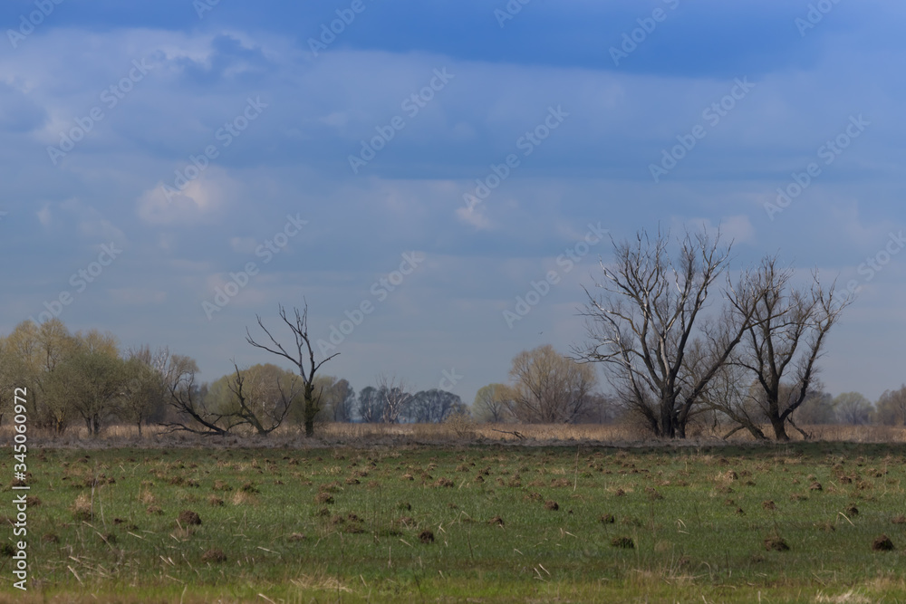 Autumn rural landscape of the Russian outback