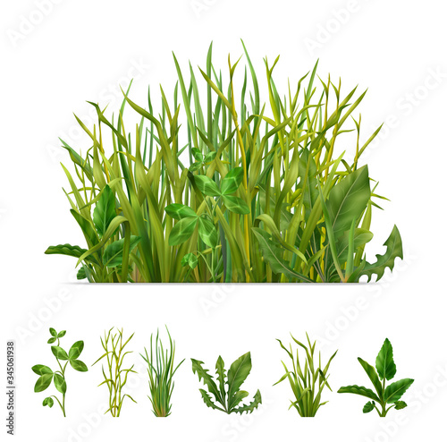 Realistic Grasses Set 