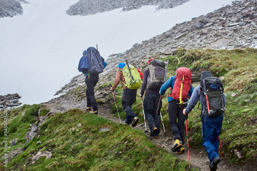 Fototapeta premium Back view of hikers with backpacks following trails while hiking long distance in mountains. Male friends with trekking sticks walking on grassy hillside path. Concept of travelling, tourism, hiking.