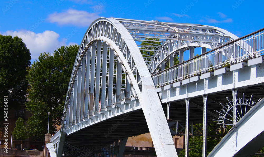 Fototapeta premium Debilly Bridge on River Seine