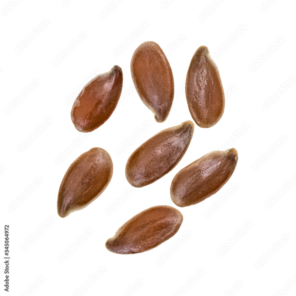 Close up of seven linseeds og flax seeds in a small group spread out and isolated on white background Close up of seven linseeds og flax seeds in a small group spread out and isolated on white background