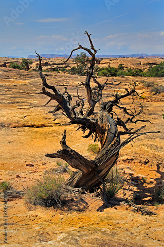 Southwest usa National Parks. Canyonlands National Park is a national park located in southeastern Utah  near the city of Moab