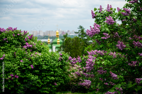 Trinity Monastery of St. Jonas Kiev Ukraine travel Europe spring in lilac flowers