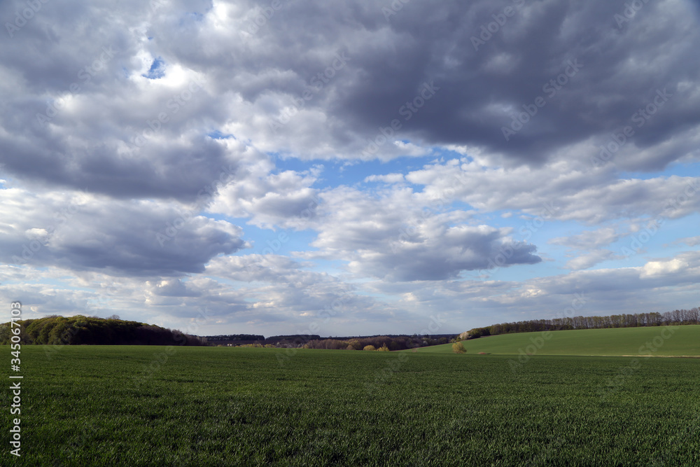 Landscape of green field, trees and sky