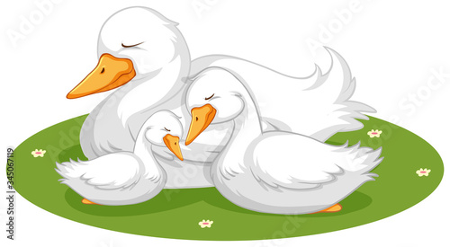 Cute duck sleeping on grass