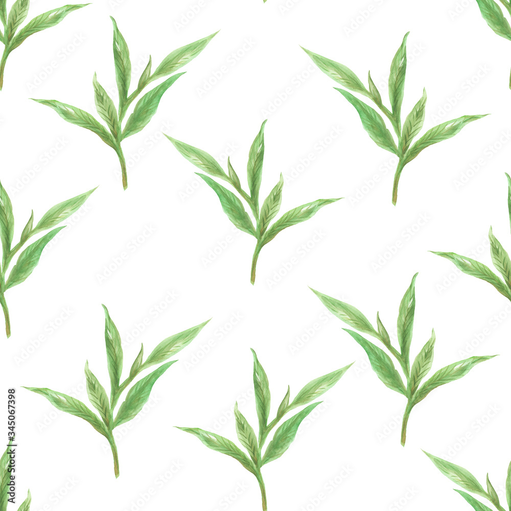 Seamless pattern with Green Tea leaves style for trendy fabric print fashion Watercolor