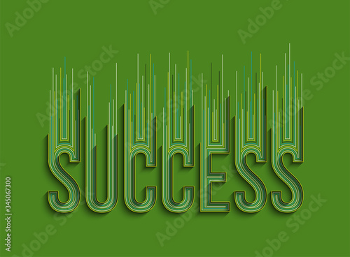 Success Calligraphic 3d Style Text shopping poster vector illustration Design.