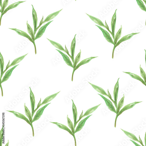 Wallpaper Mural Seamless pattern with Green Tea leaves style for trendy fabric print fashion Watercolor Torontodigital.ca