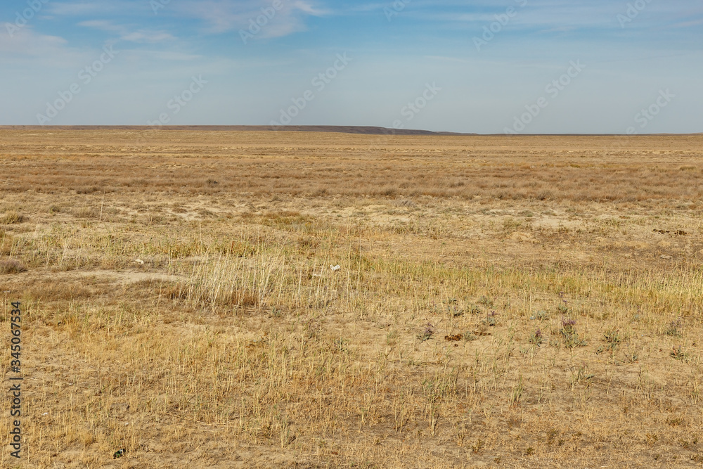 empty steppe in Kazakhstan. Dry grass in the autumn steppe. Landscape.