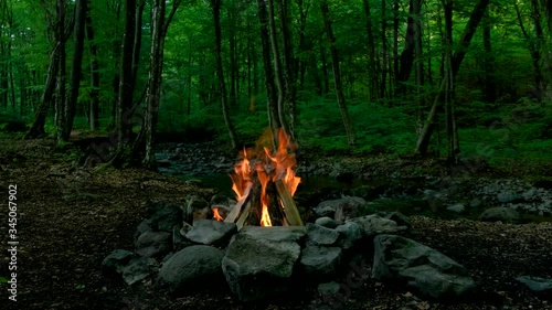 Wallpaper Mural Relaxing campfire in the forest. Torontodigital.ca