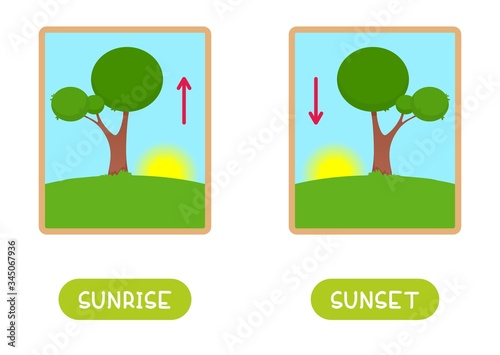 Antonyms concept, SUNRISE and SUNSET. Educational flash card template with the rising and setting sun in the window.  Word card for english language learning with opposites. Flat vector illustration