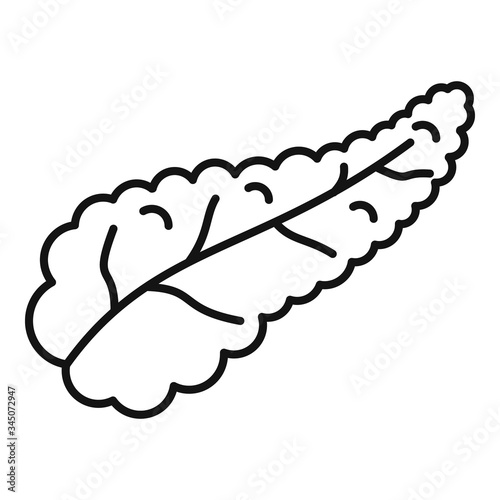 Diabetes pancreas ill icon. Outline diabetes pancreas ill vector icon for web design isolated on white background