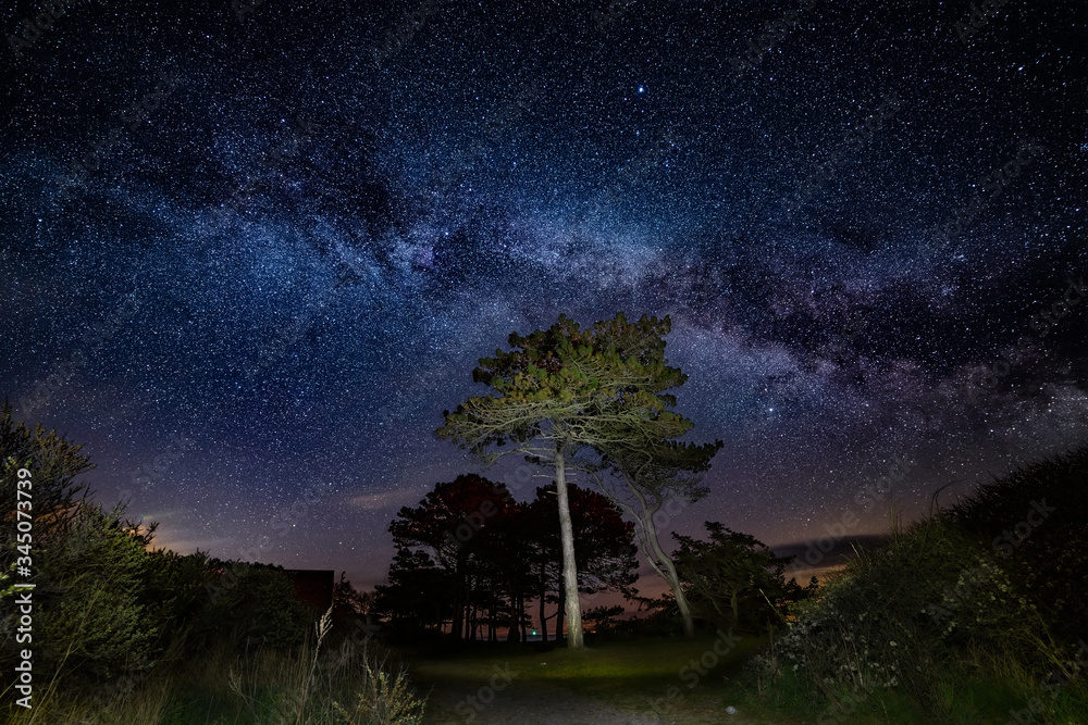Framed tree under the milky way core