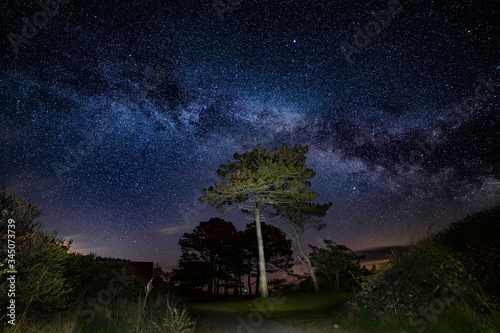 Framed tree under the milky way core