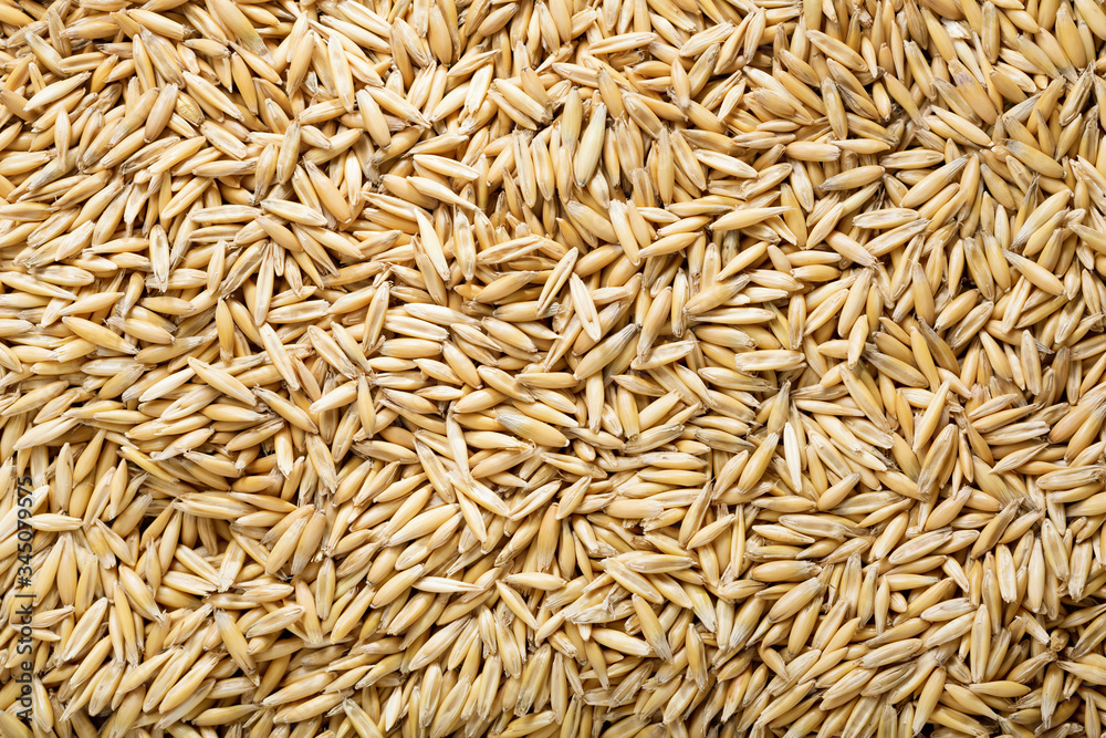 oats grains as background