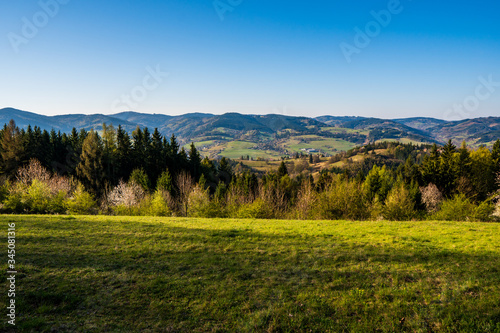field in the mountains with flowering trees and forests around on a sunny spring day, czech