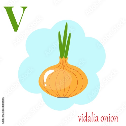 V is for vidalia onion illustration alphabet  photo