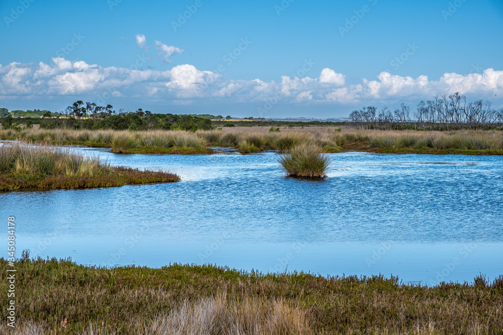 Native Australian coastal wetlands landscape
